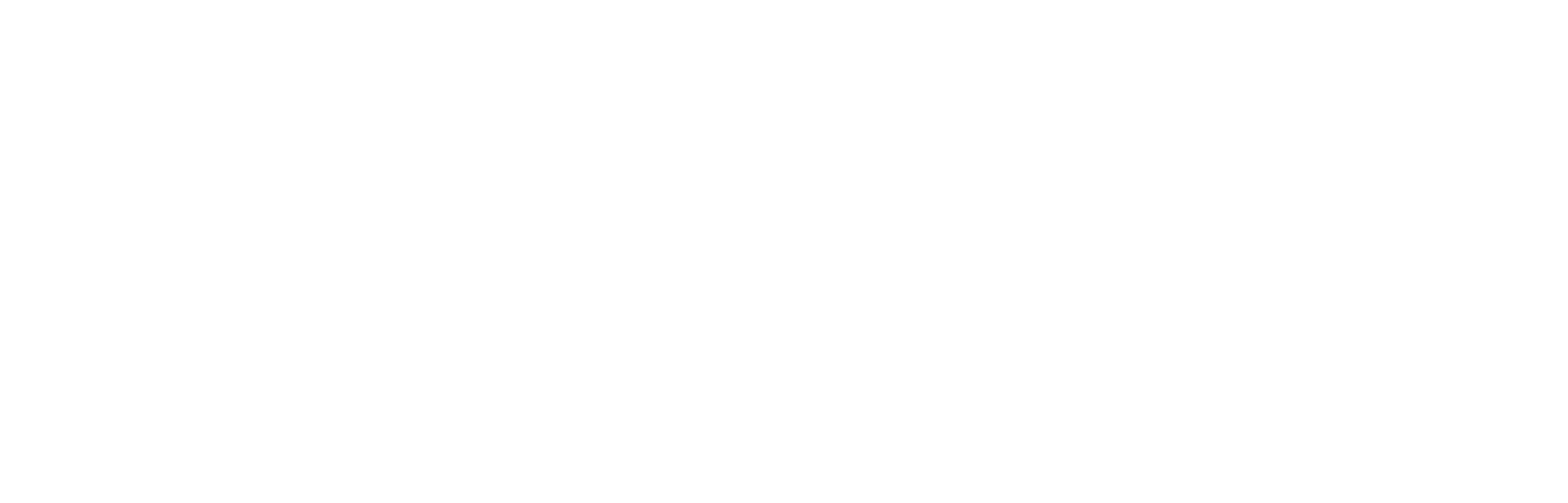 Logo Brumarrie